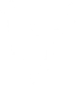 BaratongoVzla